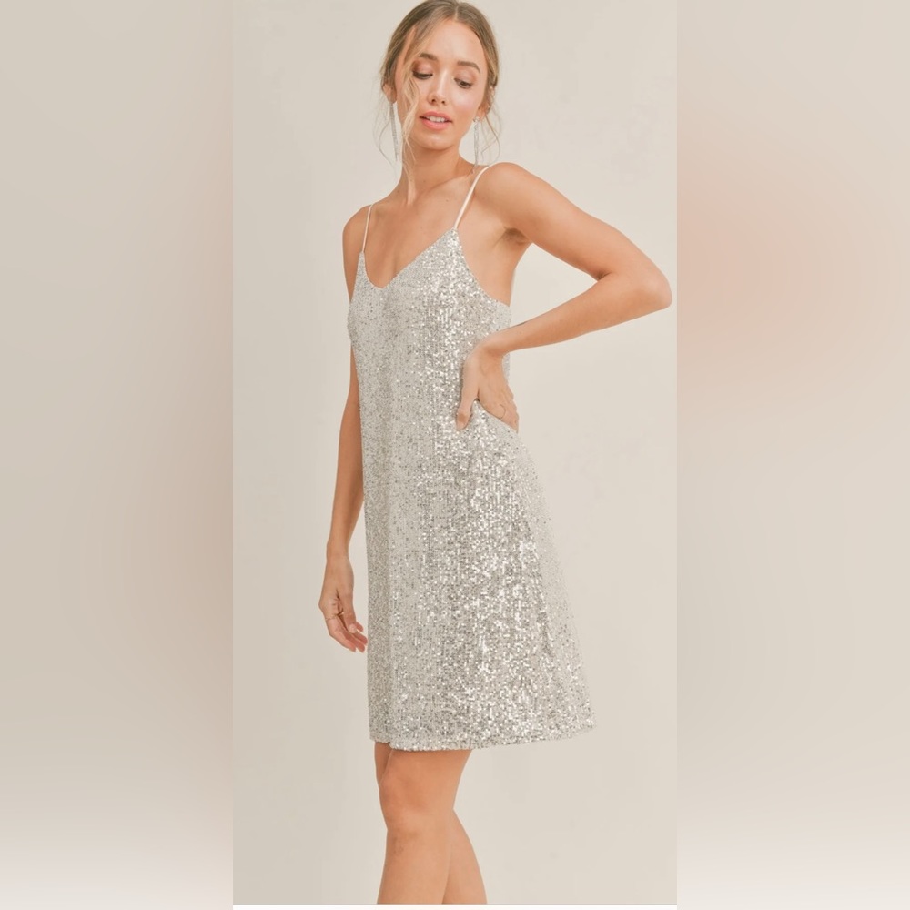 NWT Sadie and Sage Disco Inferno Mini Dress